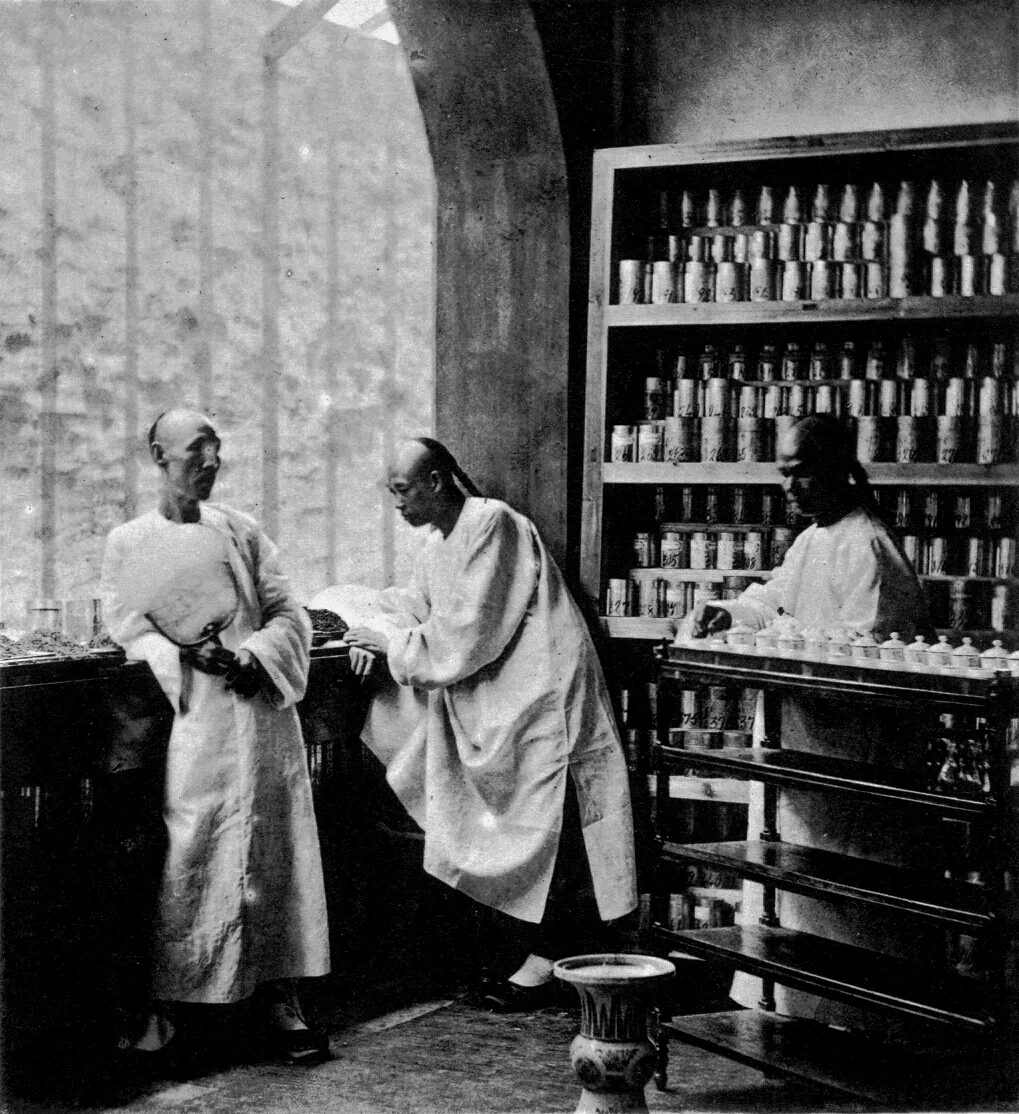 Historical tea merchants and a taster reviewing registered tea samples in Canton, China